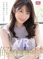 完全版動画全視聴