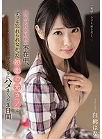 完全版動画全視聴