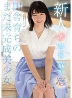 完全版動画全視聴