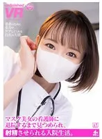 完全版動画全視聴