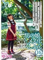 完全版動画全視聴