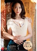 完全版動画全視聴