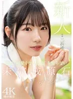 完全版動画全視聴