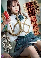 完全版動画全視聴