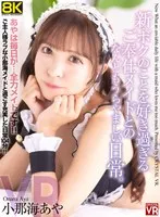 完全版動画全視聴