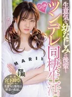 完全版動画全視聴