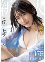 完全版動画全視聴