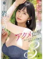 完全版動画全視聴