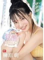 完全版動画全視聴