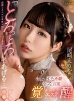 完全版動画全視聴