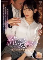 完全版動画全視聴