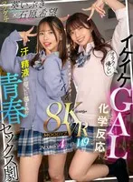 完全版動画全視聴
