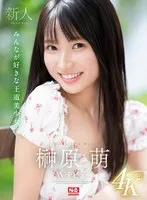 完全版動画全視聴
