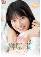完全版動画全視聴