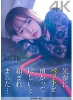 完全版動画全視聴