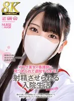 完全版動画全視聴