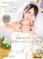 完全版動画全視聴