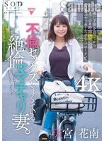 完全版動画全視聴