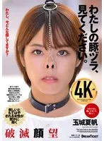 完全版動画全視聴