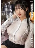 完全版動画全視聴