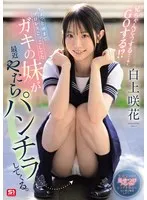 完全版動画全視聴