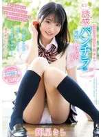 完全版動画全視聴