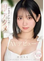完全版動画全視聴
