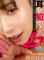 完全版動画全視聴