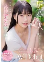 完全版動画全視聴