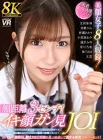完全版動画全視聴