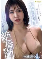 完全版動画全視聴