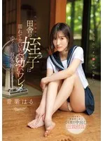 完全版動画全視聴