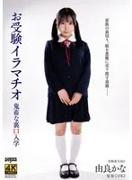 完全版動画全視聴