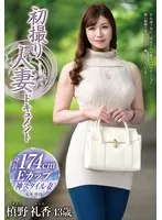 完全版動画全視聴