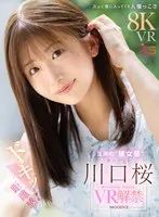 完全版動画全視聴