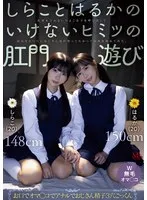 完全版動画全視聴