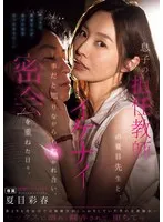完全版動画全視聴