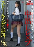 完全版動画全視聴