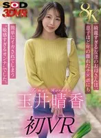 完全版動画全視聴