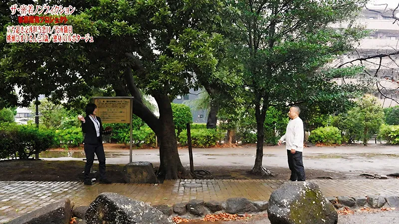 都市計画の立ち退き交渉イラマチオ 行政の依頼で来た役場職員の地味メガネ巨乳お姉さんをアクメ性開発 桃瀬ひまり