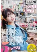 大阪&rarr;東京 東海道を縦断しファンの男性を訪ねてリクエストに全部応える発射無制限おもてなしツアー 5セックス！ 新川空