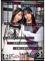 完全版動画全視聴
