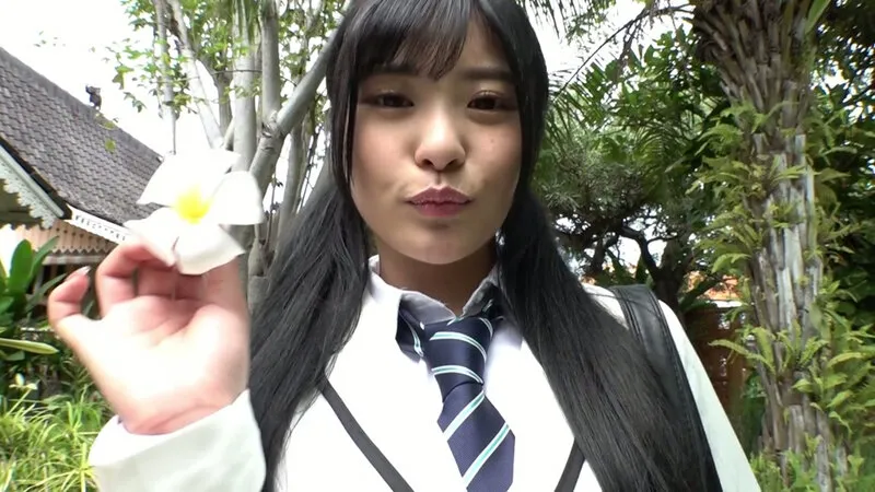 似鳥日菜/Blue Bird ~あの日、ひなと恋をした~