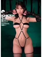 完全版動画全視聴
