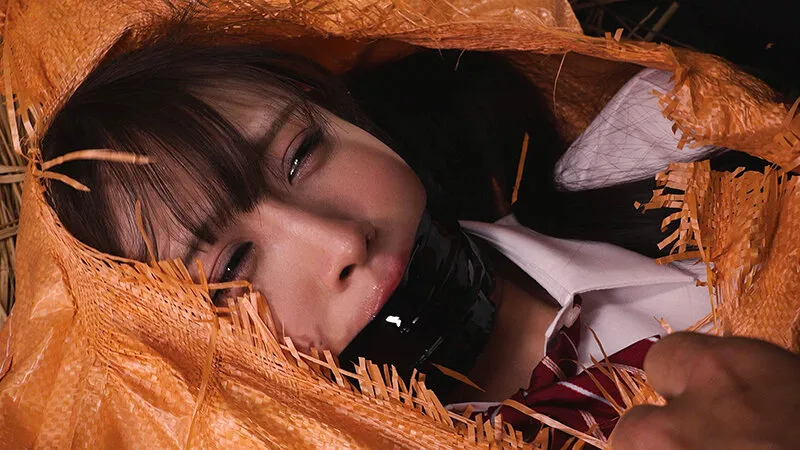 〆豚小屋 女体家畜PLANT 天音かんな