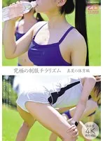 完全版動画全視聴