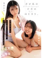 完全版動画全視聴