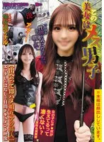 完全版動画全視聴