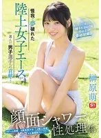 完全版動画全視聴