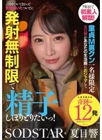 完全版動画全視聴